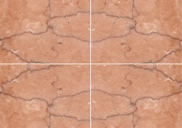 رخام روزا فالنسيا الإسباني عروق متتابعة