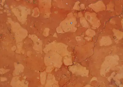 rosso verona italian marble