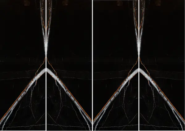 رخام الصحراء السوداء التونسي غير مطابق