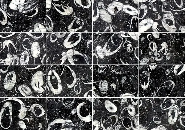 رخام صيني على شكل صدفة البحر مطابقة كتاب مفتوح