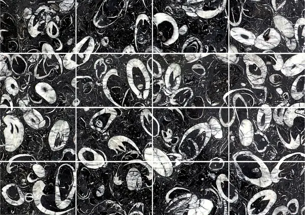 رخام صيني على شكل صدفة البحر مطابقة كتاب مزدوج مفتوح