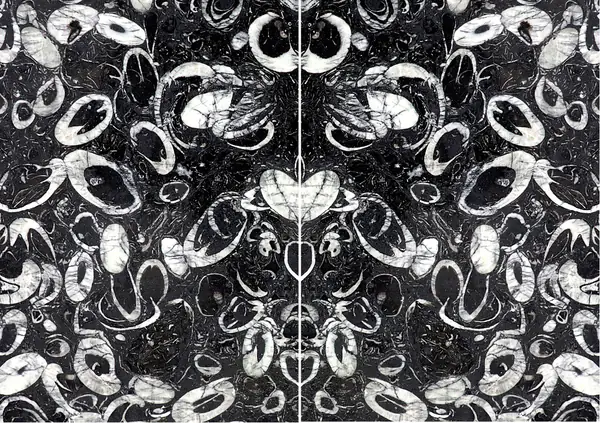 رخام صيني على شكل صدفة البحر مطابقة ربع كتاب