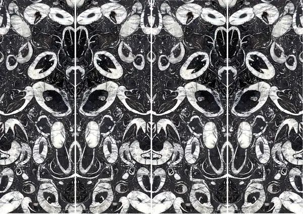 رخام صيني على شكل صدفة البحر غير مطابق