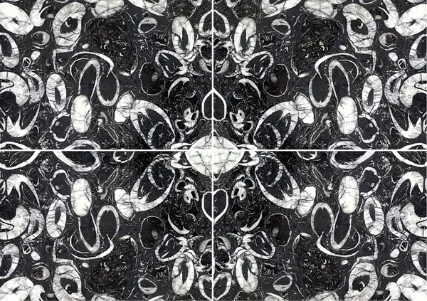 رخام صيني على شكل صدفة البحر عروق متتابعة