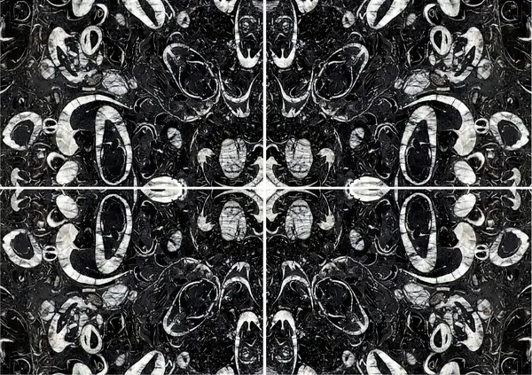 رخام صيني على شكل صدفة البحر عروق غير متطابقة