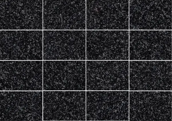 شوكشا (جابرو-دياباز) الجرانيت الروسي مطابقة كتاب مفتوح