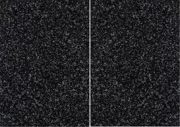 شوكشا (جابرو-دياباز) الجرانيت الروسي مطابقة ربع كتاب