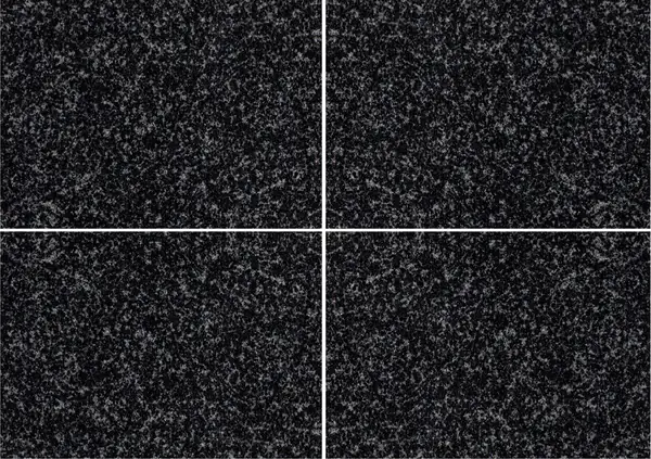 شوكشا (جابرو-دياباز) الجرانيت الروسي عروق غير متطابقة