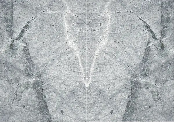 الكوارتزيت الفضي البرازيلي مطابقة ربع كتاب