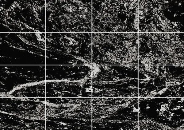 جرانيت سيلفر ويف الهندي مطابقة ربع كتاب
