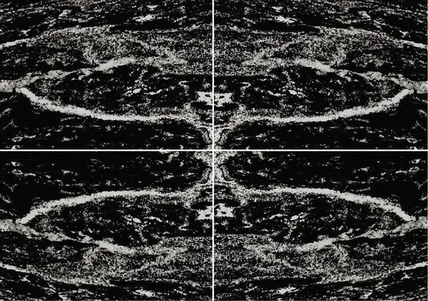 جرانيت سيلفر ويف الهندي عروق متتابعة