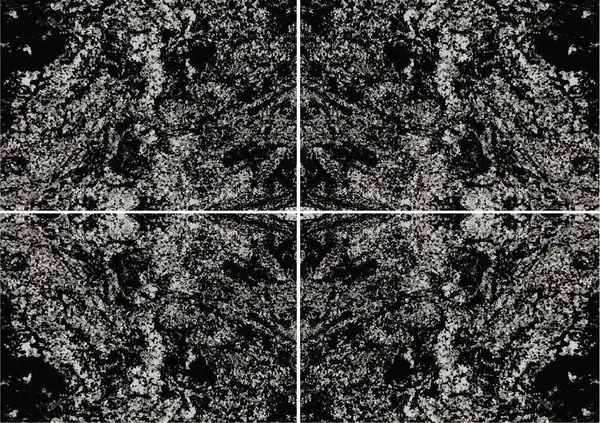 جرانيت سيلفر ويف الهندي عروق غير متطابقة