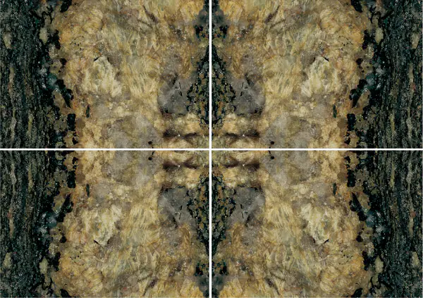 جرانيت سبيكتروس البرازيلي عروق غير متطابقة