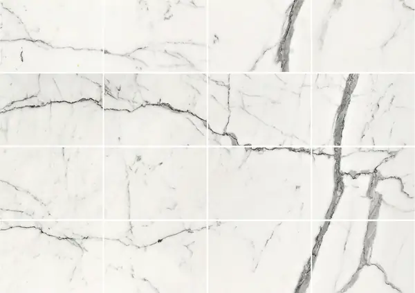 رخام إيطالي ستاتواريتو فيناتو مطابقة كتاب مزدوج مفتوح