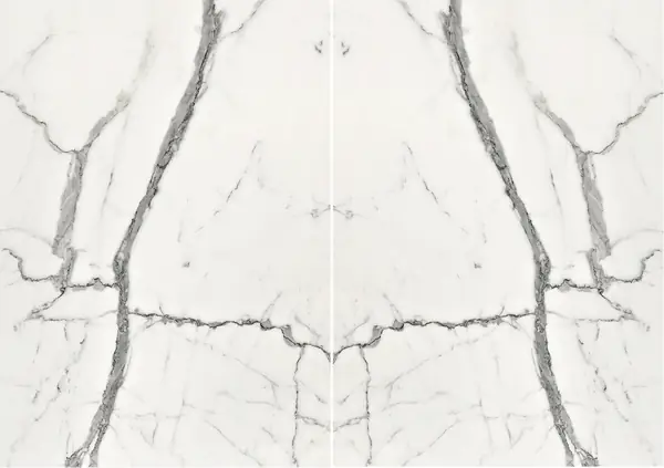 رخام إيطالي ستاتواريتو فيناتو مطابقة ربع كتاب