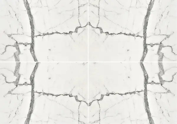 رخام إيطالي ستاتواريتو فيناتو عروق متتابعة