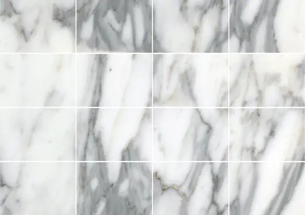 رخام إيطالي ستاتواريو فيناتو مطابقة كتاب مزدوج مفتوح