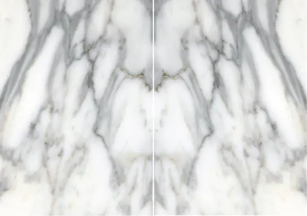 رخام إيطالي ستاتواريو فيناتو مطابقة ربع كتاب