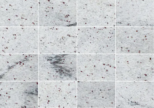 جرانيت ثاندر وايت الهندي مطابقة كتاب مفتوح