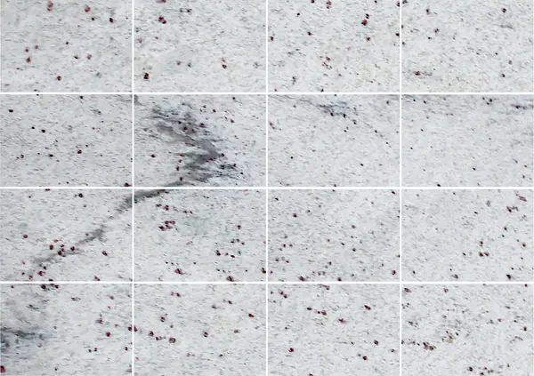 جرانيت ثاندر وايت الهندي مطابقة كتاب مزدوج مفتوح