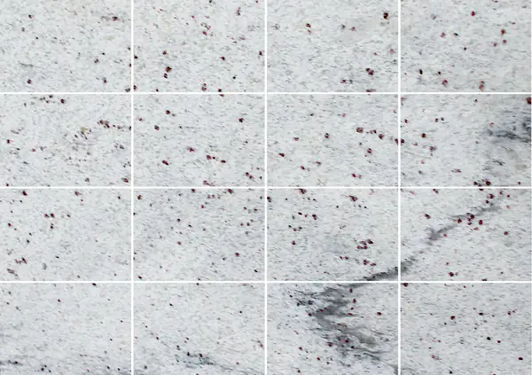 جرانيت ثاندر وايت الهندي مطابقة ربع كتاب