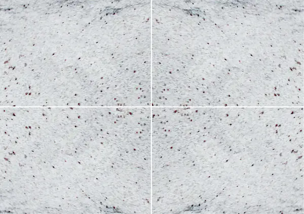 جرانيت ثاندر وايت الهندي عروق متتابعة