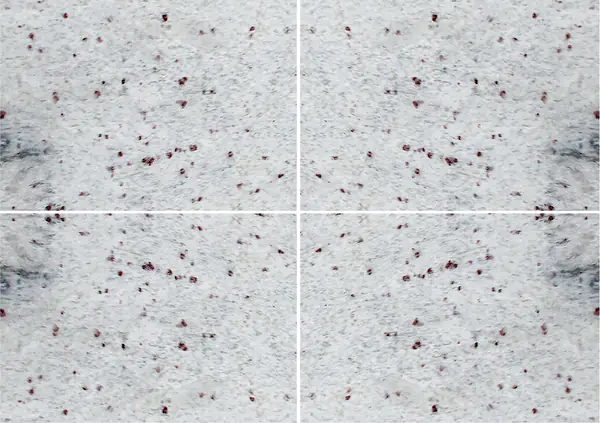 جرانيت ثاندر وايت الهندي عروق غير متطابقة