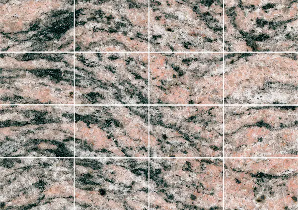 جرانيت هندي بنقشة جلد النمر مطابقة كتاب مزدوج مفتوح