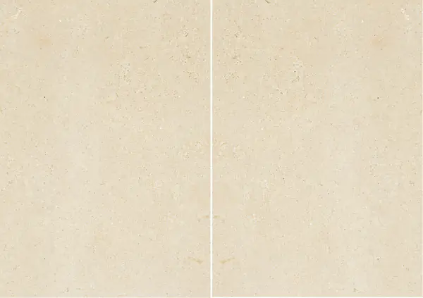 رخام إيطالي تراني كلاسيكو مطابقة ربع كتاب