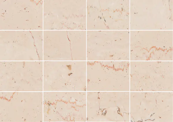 رخام إيطالي تراني فيوريتو مطابقة كتاب مفتوح