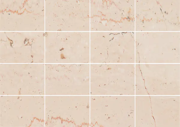 رخام إيطالي تراني فيوريتو مطابقة كتاب مزدوج مفتوح