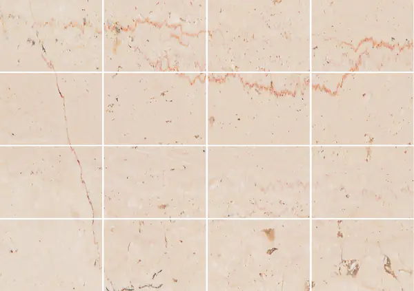 رخام إيطالي تراني فيوريتو مطابقة ربع كتاب