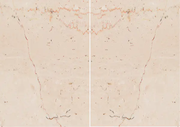 رخام إيطالي تراني فيوريتو مطابقة ربع كتاب