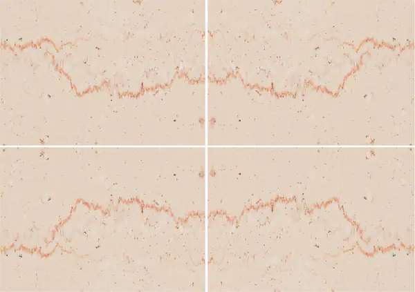 رخام إيطالي تراني فيوريتو عروق غير متطابقة