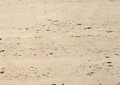 travertino caesar italian travertine