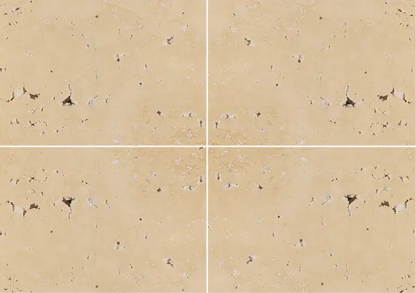 ترافرتينو إيبيريكو الترافرتين الإسباني عروق متتابعة