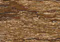 Travertino Noce Persiano Iranian Travertine