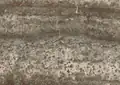 Travertino Silver Persiano Iranian Travertine