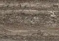 Travertino Titanium Iranian Travertine
