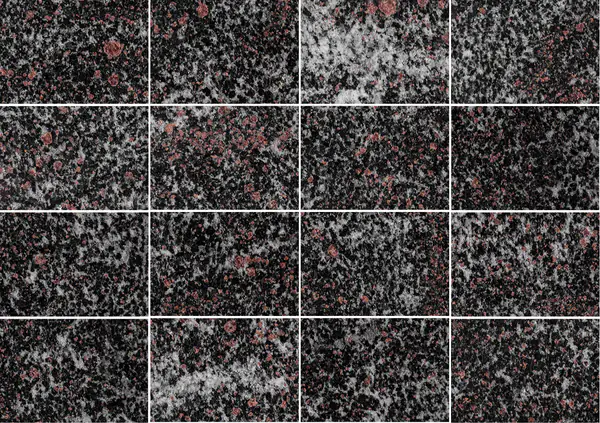التندرا - غروب الشمال (الأمفيبوليت العقيق) الجرانيت الروسي مطابقة كتاب مفتوح