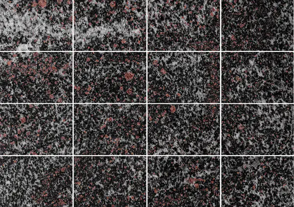 التندرا - غروب الشمال (الأمفيبوليت العقيق) الجرانيت الروسي مطابقة ربع كتاب