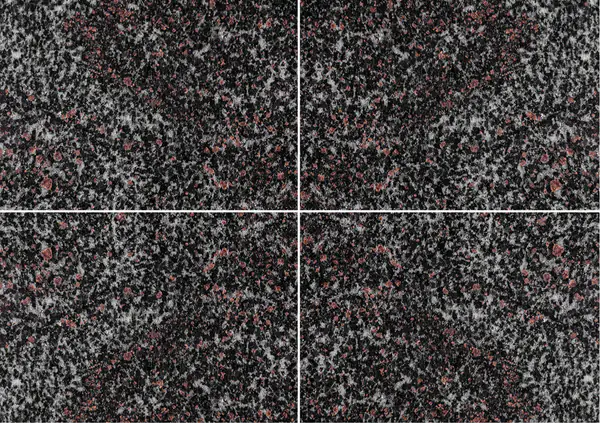 التندرا - غروب الشمال (الأمفيبوليت العقيق) الجرانيت الروسي عروق متتابعة