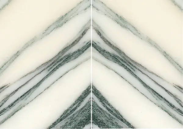 رخام إيطالي فيناتو فانتاستيكو مطابقة ربع كتاب