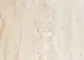 Venezia French Limestone