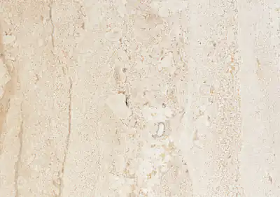 venezia french limestone