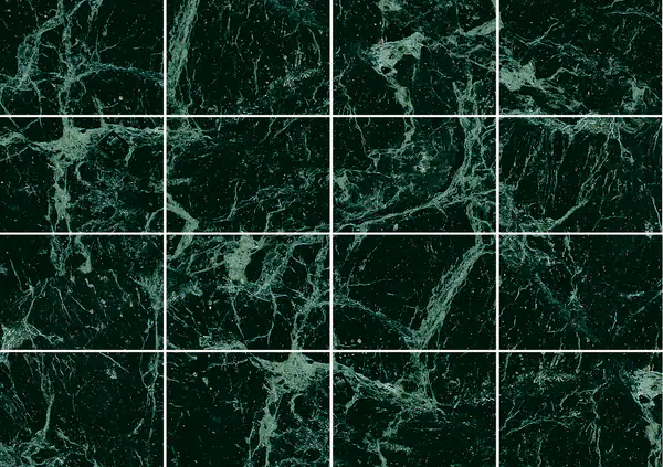 رخام فيردي ألبي الإيطالي مطابقة ربع كتاب