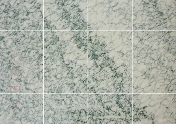 رخام فرنسي فير دي إستورز مطابقة ربع كتاب