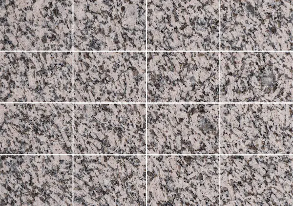 جرانيت فوزروجينيه الروسي مطابقة كتاب مزدوج مفتوح