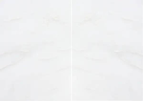 رخام وحيد القرن الأبيض الناميبي مطابقة ربع كتاب