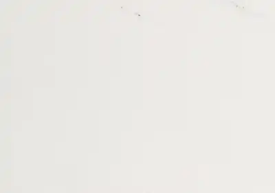 white snow turkish marble